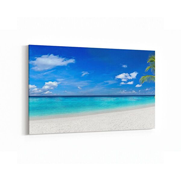 olla.market Kanvas Tablo