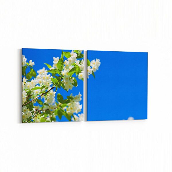 olla.market Kanvas Tablo