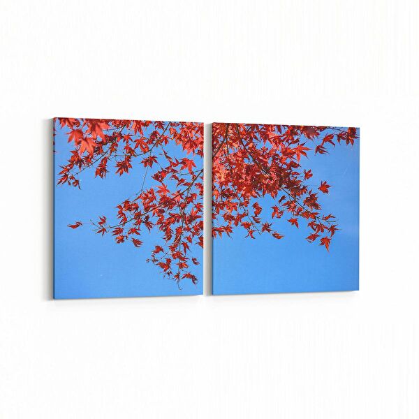 olla.market Kanvas Tablo