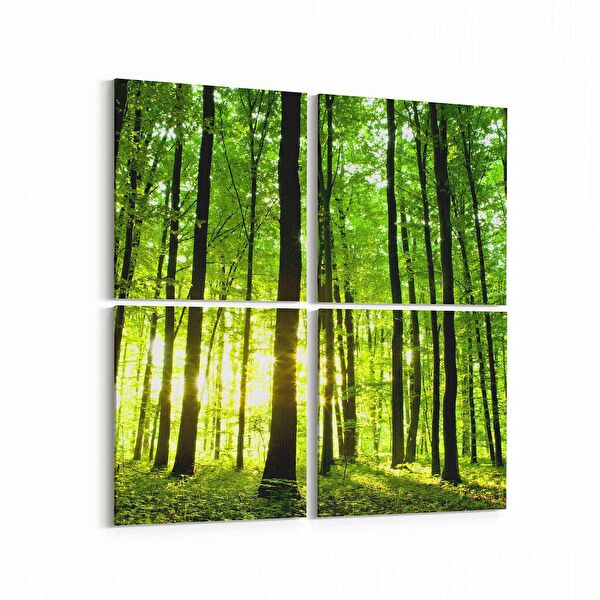 olla.market Kanvas Tablo