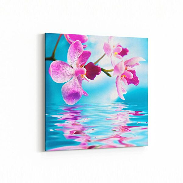 olla.market Kanvas Tablo