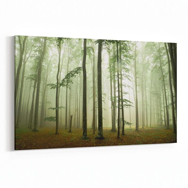 olla.market Kanvas Tablo