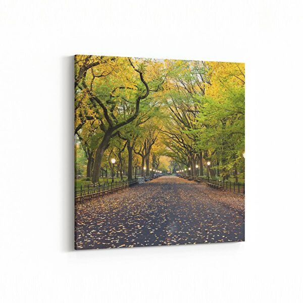 olla.market Kanvas Tablo