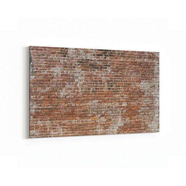 olla.market Kanvas Tablo