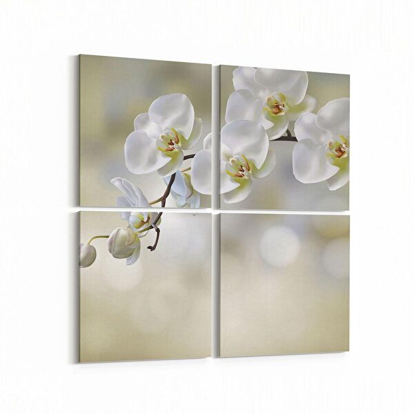 olla.market Kanvas Tablo