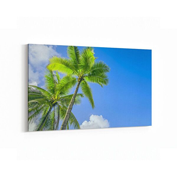 olla.market Kanvas Tablo