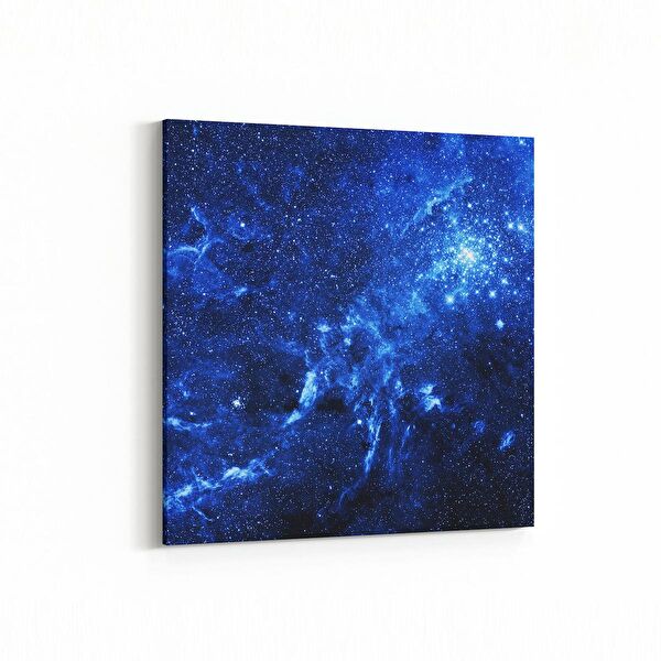 olla.market Kanvas Tablo