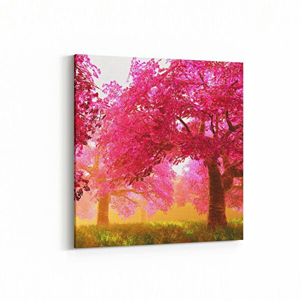 olla.market Kanvas Tablo