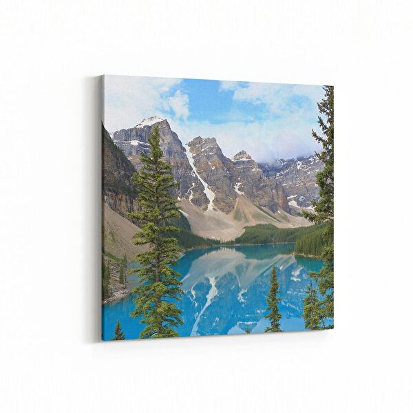 olla.market Kanvas Tablo