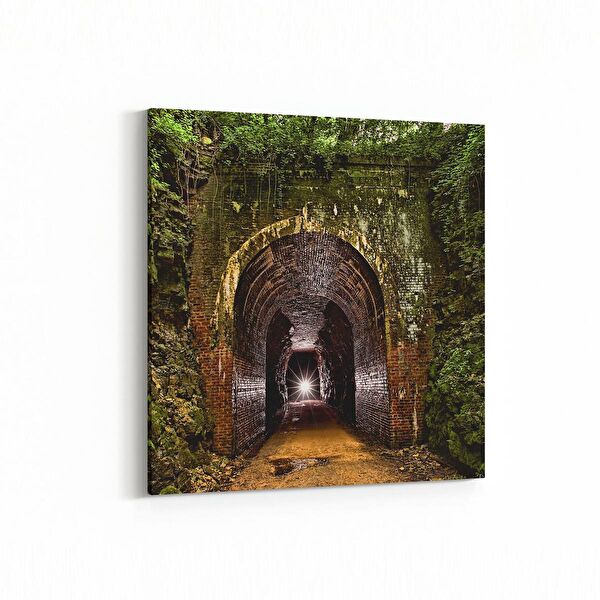 olla.market Kanvas Tablo