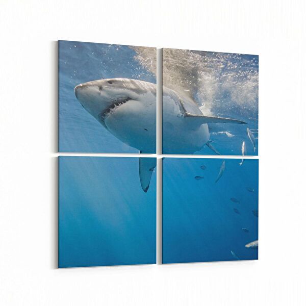 olla.market Kanvas Tablo