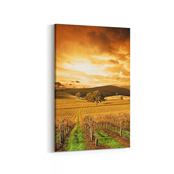 olla.market Kanvas Tablo