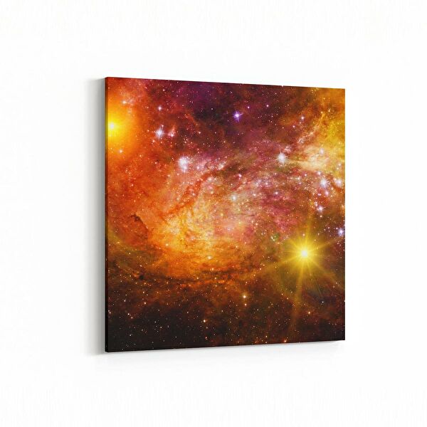 olla.market Kanvas Tablo