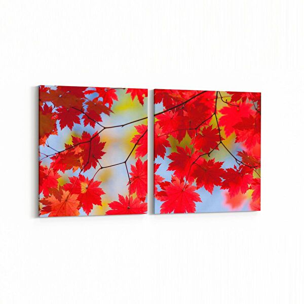 olla.market Kanvas Tablo