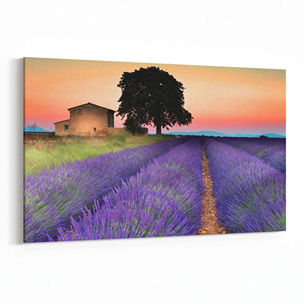 olla.market Kanvas Tablo