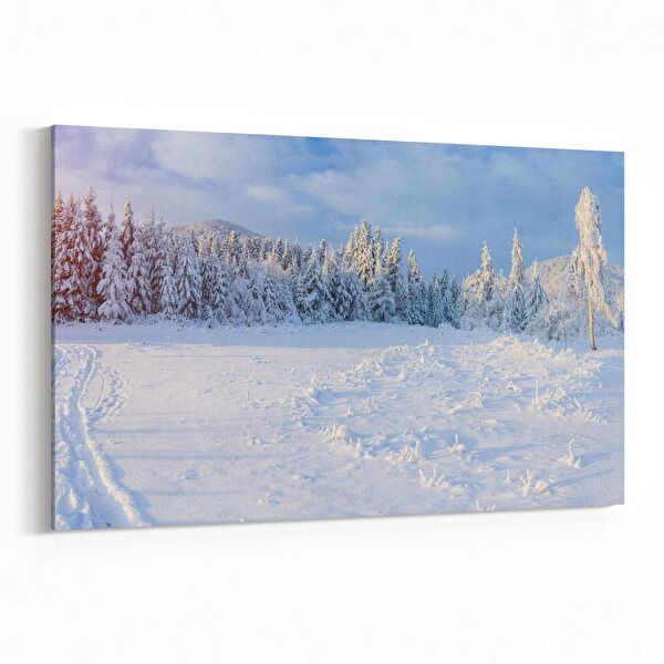 olla.market Kanvas Tablo