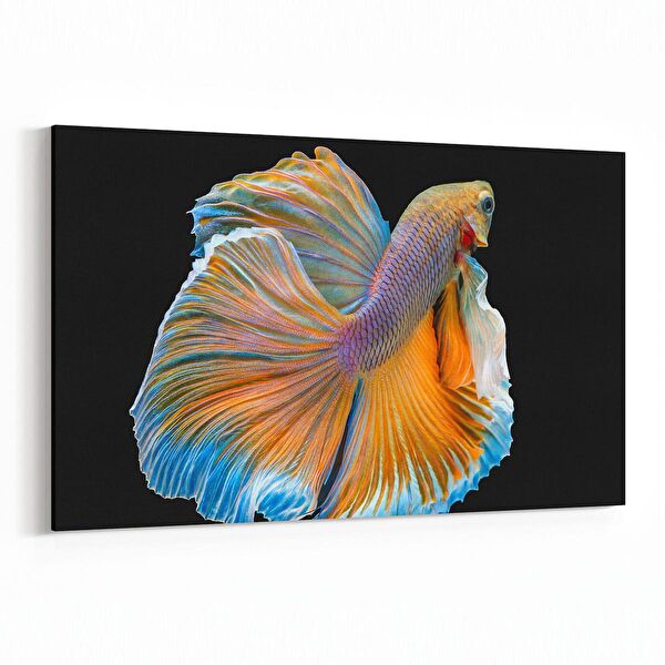 olla.market Kanvas Tablo