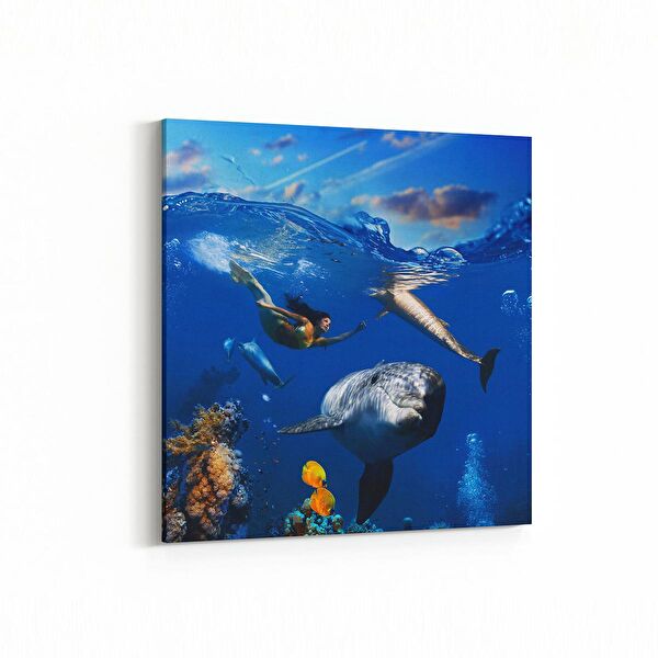 olla.market Kanvas Tablo