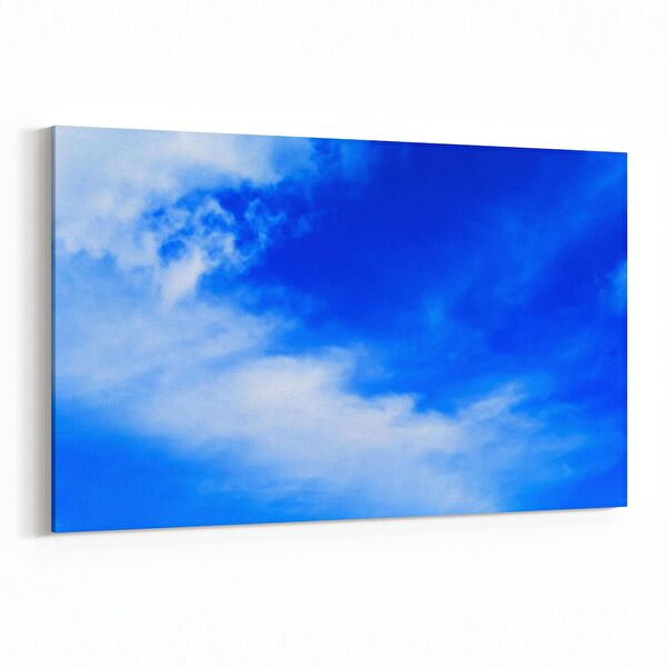 olla.market Kanvas Tablo