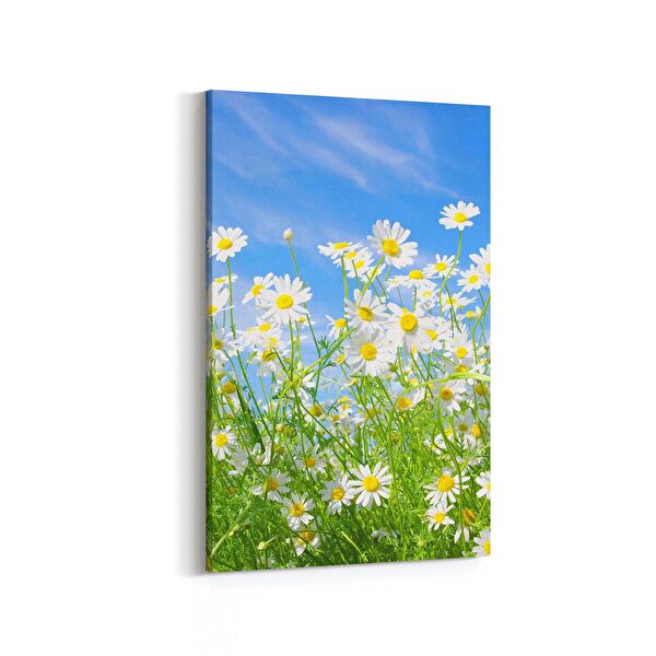 olla.market Kanvas Tablo