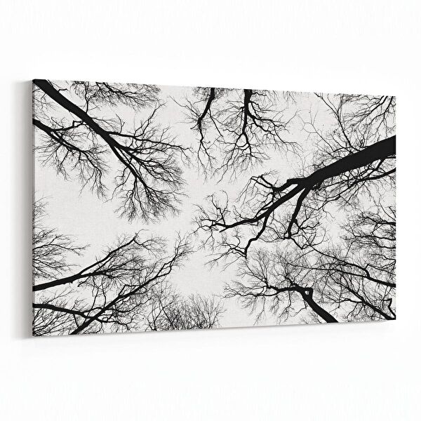 olla.market Kanvas Tablo