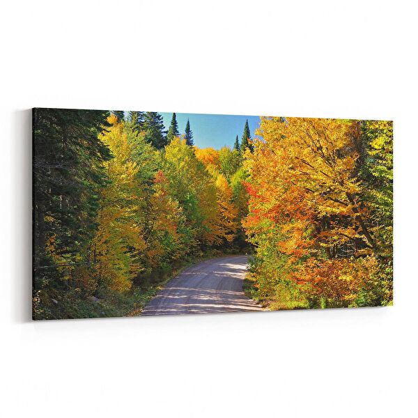 olla.market Kanvas Tablo