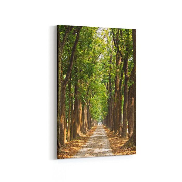 olla.market Kanvas Tablo