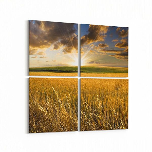 olla.market Kanvas Tablo