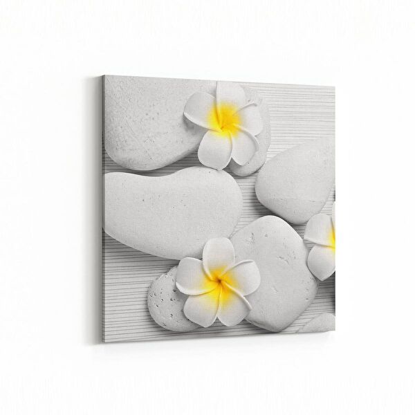 olla.market Kanvas Tablo