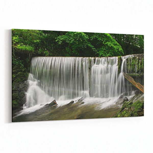 olla.market Kanvas Tablo