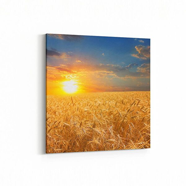 olla.market Kanvas Tablo