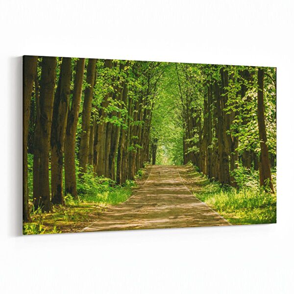 olla.market Kanvas Tablo