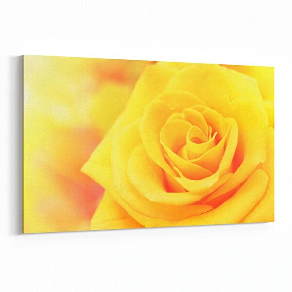 olla.market Kanvas Tablo