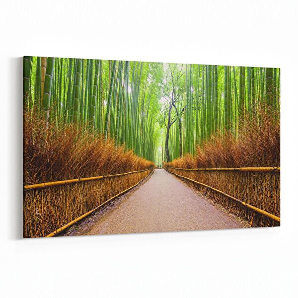 olla.market Kanvas Tablo