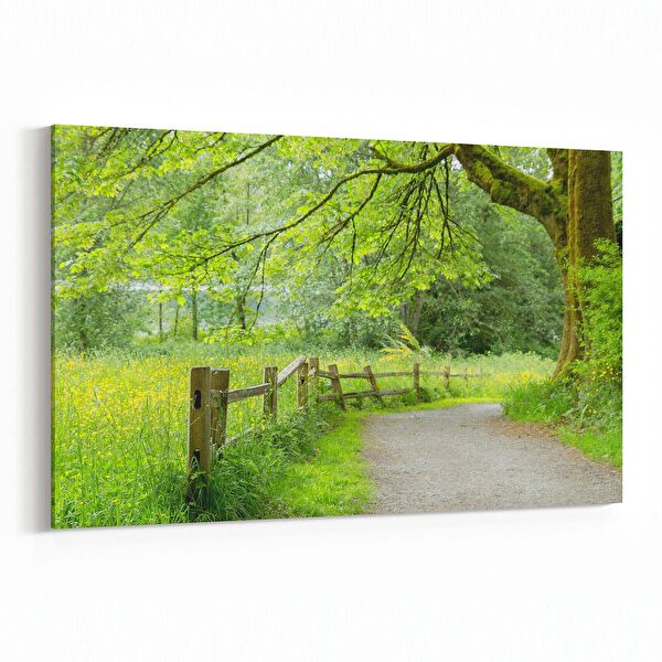 olla.market Kanvas Tablo