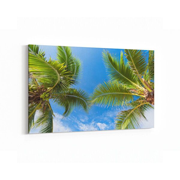 olla.market Kanvas Tablo