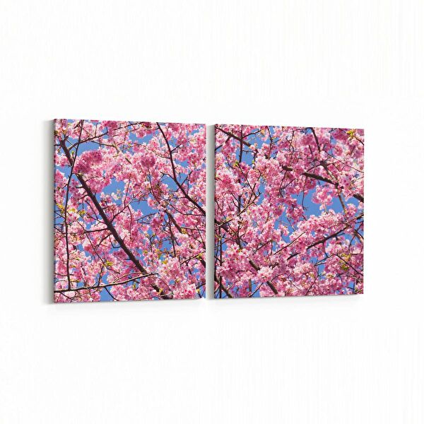 olla.market Kanvas Tablo