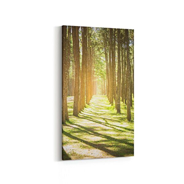 olla.market Kanvas Tablo