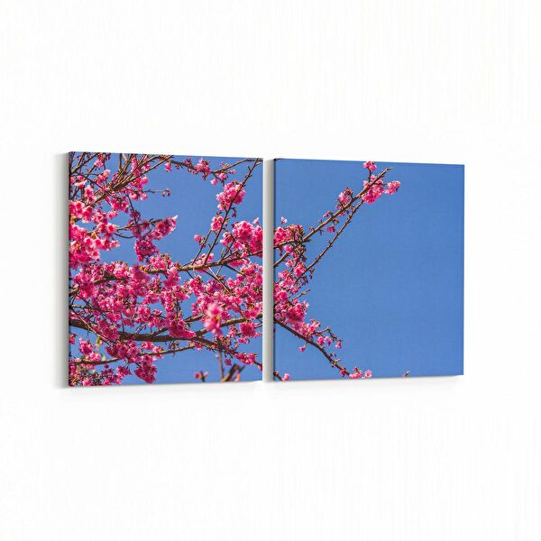 olla.market Kanvas Tablo