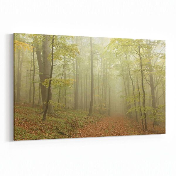 olla.market Kanvas Tablo