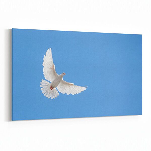 olla.market Kanvas Tablo