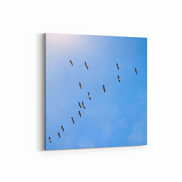 olla.market Kanvas Tablo