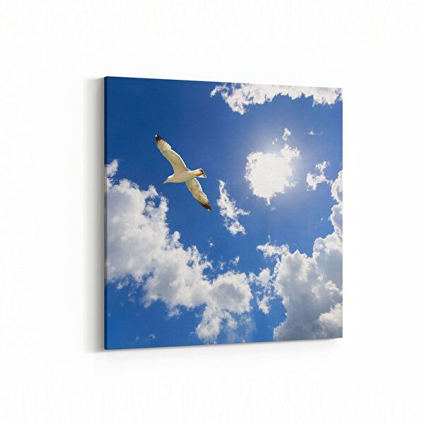 olla.market Kanvas Tablo