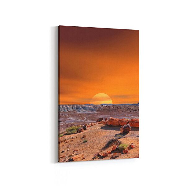 olla.market Kanvas Tablo