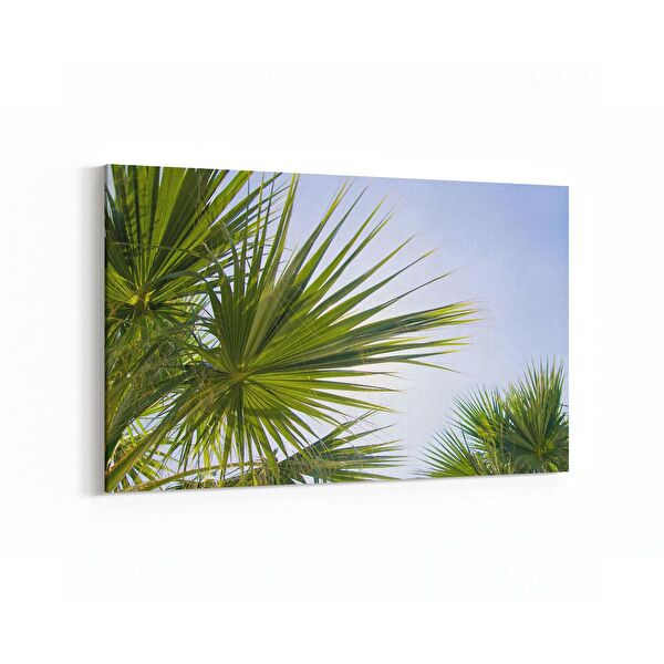 olla.market Kanvas Tablo