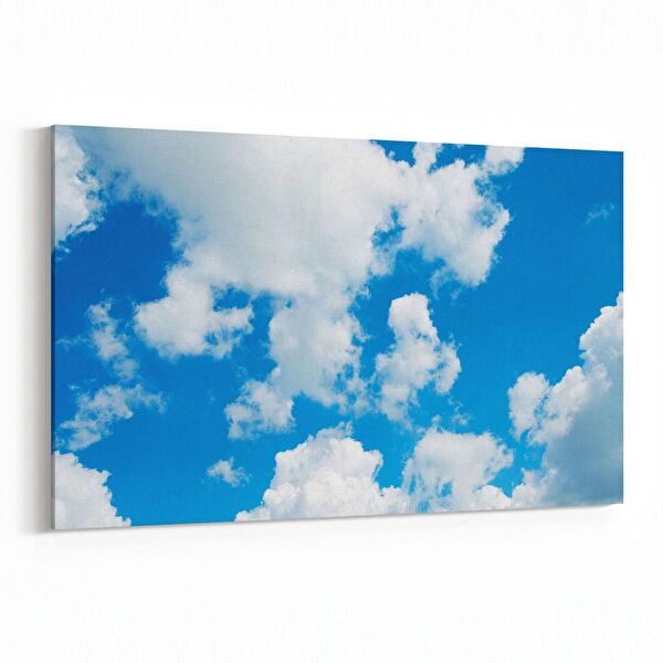 olla.market Kanvas Tablo