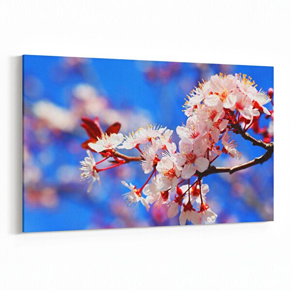 olla.market Kanvas Tablo