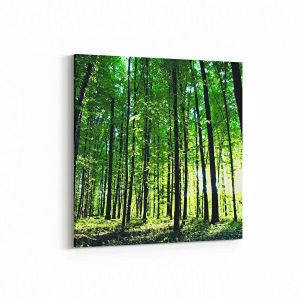 olla.market Kanvas Tablo