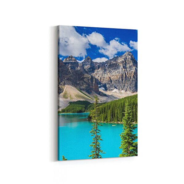 olla.market Kanvas Tablo