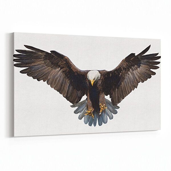 olla.market Kanvas Tablo